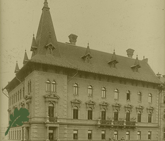 Az Országos Erdészeti Egyesület története