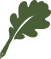 leaf image