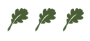 leaf image